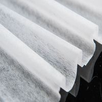 Entoilage thermocollant non tissé Gumstay pour usine