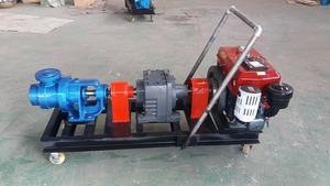 Bomba Rotativa Eléctrica de Malla Interna de Acero Inoxidable de Alta Resistencia Serie NYP para Fluidos de Alta Viscosidad con Reductor de Transmisión - Product Image 3