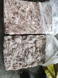 Buen <span class=keywords><strong>precio</strong></span> Frozen China Long Leg Octopus - Product Image 5