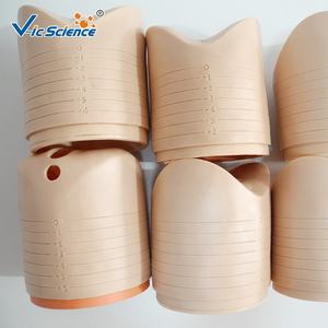 Maniquí <span class=keywords><strong>de</strong></span> Enfermería <span class=keywords><strong>de</strong></span> ciencia médica, modelo <span class=keywords><strong>de</strong></span> entrega <span class=keywords><strong>de</strong></span> parto, modelo <span class=keywords><strong>de</strong></span> enseñanza <span class=keywords><strong>de</strong></span> entrega, modelo <span class=keywords><strong>de</strong></span> educación <span class=keywords><strong>de</strong></span> entrega - Product Image 3