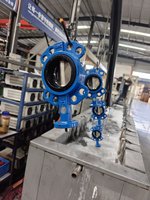 Vanne papillon API609 à joint souple pour eau, à deux tiges, en fonte ductile, pour le contrôle industriel du débit