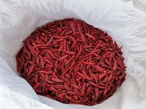 พริกแห้งคุณภาพสูง - Product Image 2