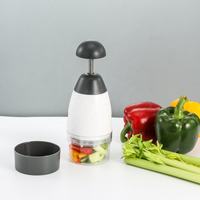 Ecologische handmatige keukenhulp van roestvrij staal en plastic voor het snijden van knoflook, mini-groenten, fruit, gember, ui en vlees.