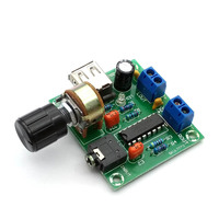 Amplifier Mini 5V, AC dan DC USB penguat daya kecil PM2038 penguat daya 5W X 2 Produk ketepatan tinggi