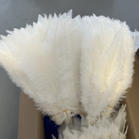 Vente en gros de plumes d'autruche teintes sur mesure de 17 à 20 pouces, plumes luxueuses et moelleuses pour le carnaval et les mariages