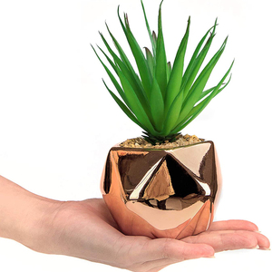 Nuevo diseño de oro rosa geométrica cerámica pote de flor planta suculenta olla artificial planta olla de oro - Product Image 2