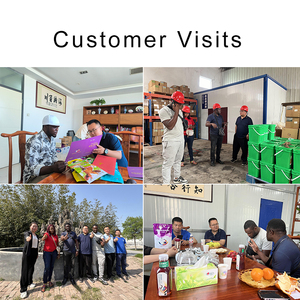 Bột tỏi thúc đẩy tăng trưởng trong thức ăn gia súc axit amin thức ăn <span class=keywords><strong>premix</strong></span> phụ gia cho gà và gia cầm - Product Image 4