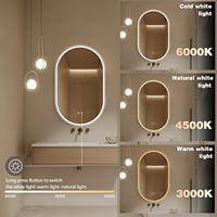 Miroir de salle de bain moderne ovale à LED rétroéclairé sans cadre, indice de protection IP44, commande tactile, intensité réglable, 3 couleurs