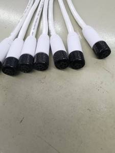 Cavo in Silicone Impermeabile IP67 Personalizzato M10 2+3 Pin con Anima in Rame 2x0.75mm2 3x0.25mm2 12V-100V per Automobili con Estremità Aperte e Isolamento in PVC - Product Image 2