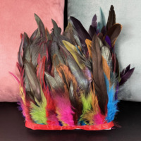 Plumes de coq de poulet 100% naturelles teintes multicolores, garnitures de 6 à 8 pouces pour l'artisanat, la décoration de vêtements et les accessoires vestimentaires