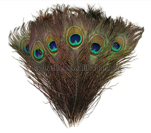 Plumes <span class=keywords><strong>de</strong></span> <span class=keywords><strong>paon</strong></span> à œil enfilé naturel à vendre fête carnaval maison mariage pièce maîtresse noël Vase vacances décor bricolage artisanat Floral - Product Image 3