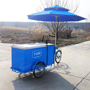 Three-Wheel Ice Food Car Front Freezer Street Food Freezer Bike - Product Image 4