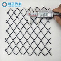 Lámina de Metal Expandido de Acero Bajo en Carbono al por Mayor para Protección de Ventanas, Pantalla Protectora, Suministro Directo de Fábrica OEM ODM, Lista de Precios