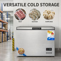 Congélateur coffre commercial, congélateur profond, porte simple, refroidissement direct, autoportant, pour restaurant, supermarché, stockage d'aliments surgelés