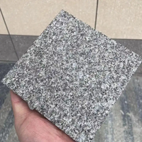 Dalles et Plaques en Granit Noir Sésame G654 Poli de Qualité Supérieure, Fabrication Chinoise, pour Sols et Murs, Vente en Gros, Tailles Personnalisées
