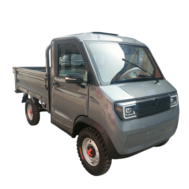 Made in China, High Performance Family Charging Four Wheel Two Seater Small New Energy Electric Pickup Truck for Cargo