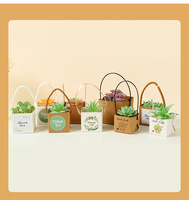 Boîte de transport carrée en papier kraft biodégradable de qualité supérieure pour plantes succulentes et fleurs, avec poignée confortable, idéale pour les boîtes de fête