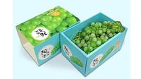 Boîte cadeau écologique en carton ondulé personnalisé avec gaufrage pour fruits, avec trous d'aération, vente en gros