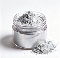 Poudre de pigment holographique certifiée GUANZUN gris clair pour revêtement métallique en aluminium, échantillon de 1g, encre d'impression pour arts graphiques en vrac