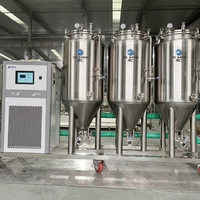 Micro-brasserie 500L 1000L, Nano-brasserie, Brasserie artisanale, Technologie de production avancée, Équipement de brassage