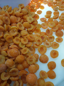 IQF Congelados al por mayor HACCP y BRC Normas Albaricoque congelado Envasado a granel Frutas congeladas - Product Image 4