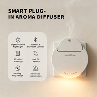 Diffuseur d'arômes mural sans eau à commande Bluetooth pour huiles essentielles, avec veilleuse, pour la maison et les pièces - Vente en gros