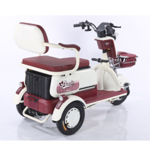 Chất lượng tốt tốc độ cao ba bánh hành khách ba bánh điện hai chỗ ngồi cho người lớn - Product Image 3