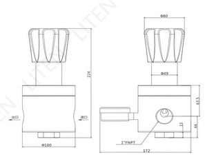 AR N2 O2 H2 için R66 yüksek akış düşük basınç regülatörü CV5.0 o - Product Image 3