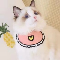 Bandana Confortable Classique de Luxe Simple en Coton pour Chien et Chat, Motif Canard Jaune Dessin Animé, Accessoire pour Animaux de Compagnie Toutes Saisons