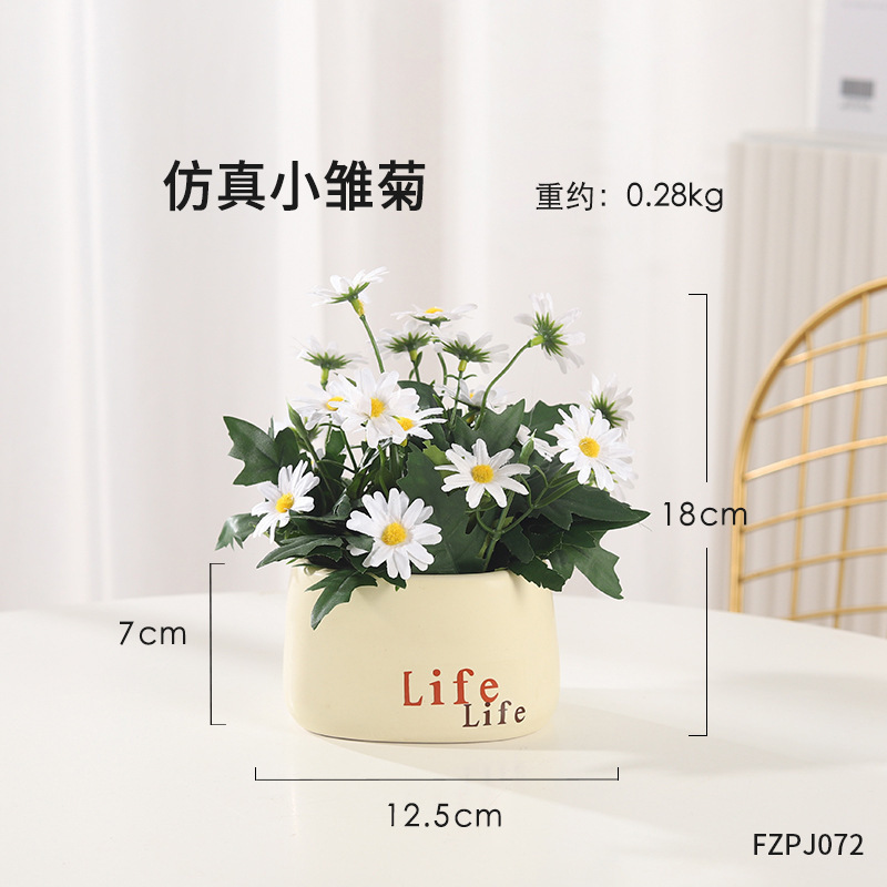 Daisy - Pot de vie en plastique