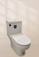 Toilette à siphon, Toilette de projet, Toilette monobloc, Toilette pour rénovation, Toilette en céramique spécialisée, Toilette de salle de bain