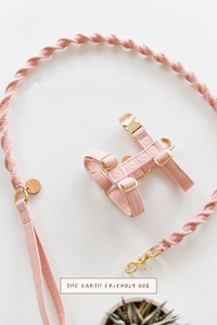 <span class=keywords><strong>2026</strong></span> 2025 Hochwertiges Makramee-Hundegeschirr-Set mit Schnellverschluss, Solides Muster, Hundeleine, Halsbänder und Führleine für Hunde - Product Image 4