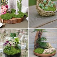 Gazon artificiel en plastique imitation mousse, bonsaï en pot, micro-paysage vert, aménagement extérieur de Noël, résistant aux UV