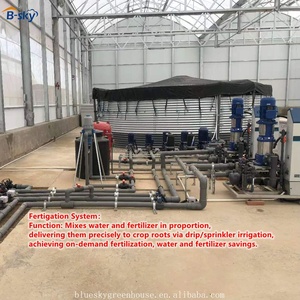 <span class=keywords><strong>Serre</strong></span> commerciale à grande portée en film plastique avec structure en acier galvanisé stabilisé aux UV pour la culture de légumes et de fleurs - Product Image 5