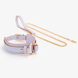 S&M pu leather high quality sexy women and dog neck collar neck corset collar slave shock bondage collar and Leashes 2Pcs Set