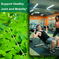 Capsules de poudre de feuilles de Moringa biologique à marque privée OEM/ODM pour hommes et femmes, soutien immunitaire, végétalien, service de vente en gros direct usine