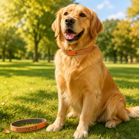 Sangle tubulaire jacquard OEM, tissée, double face, en maille creuse, couleur personnalisée, pour accessoires vestimentaires pour animaux de compagnie