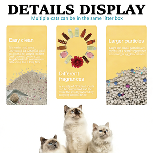 كرات فحم نشط عالية الامتصاص للقطط من بينجي، صديقة للبيئة، قليلة الغبار، للتحكم في الروائح، بيع بالجملة - Product Image 4