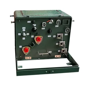 Transformateur de distribution électrique adapté aux besoins du client par BT de HT du transformateur 300kva 333kva monté par protection monophasé