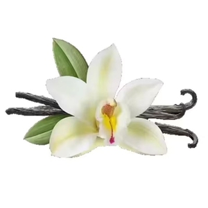 Huile Essentielle <span class=keywords><strong>de</strong></span> Vanille 100% Pure, Citron Vert, <span class=keywords><strong>Noix</strong></span> <span class=keywords><strong>de</strong></span> <span class=keywords><strong>Coco</strong></span>, Cèdre, Fruit <span class=keywords><strong>de</strong></span> la Passion, Fraise, Clou <span class=keywords><strong>de</strong></span> Girofle, Cerise, Framboise, Citronnelle - Product Image 2