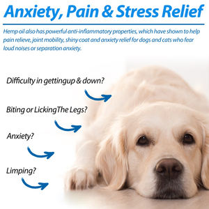 Oimmal Etiqueta Privada 60ml Soporte Inmune Aceite de Cáñamo Orgánico Premium Venta Al por Mayor Productos para Mascotas Aceite de Cáñamo para Perros Gatos Hecho en China - Product Image 4