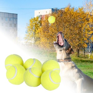 Mainan kunyah hewan peliharaan karet tahan lama bola tenis latihan canggih untuk bermain anjing interaktif bola lempar latihan - Product Image 5