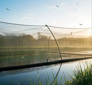 40 lưới 22 mét vuông nuôi cá lưới trắng xanh HDPE + UV ổn định cá thủy sản chiên Giun đất nuôi tôm bền - Product Image 2