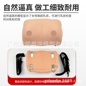 Modelo portátil para entrenamiento y examen de senos; práctica didáctica sobre patología mamaria femenina; modelo para autoexamen y cuidado. - Product Image 4