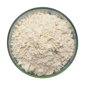 Factory Suppliers 98% Sophora Flavescens Extract Oxymatrine Matrine Powder CAS 519-02-8 Natural Matrine
