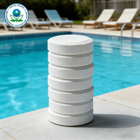 Tablettes Stabilisées pour Piscine à Libération Lente, Enregistrées EPA, Conteneur, Stock US, Multi-tailles, Vente en Gros et au Détail