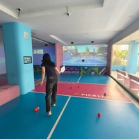 Simulateur de pickleball intérieur toutes situations, machine de jeu de projection de tennis en réalité augmentée, construction métallique pour sites de loisirs commerciaux (1-2 joueurs)