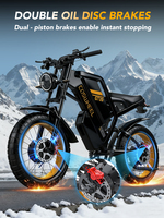 Motocicleta Eléctrica Todoterreno para Adultos, con Certificación CE ISO, Fabricación OEM, 48V 27Ah 500W, 80km de Autonomía, 150kg de Carga, Neumáticos Anchos, Frenos Hidráulicos sin Escobillas