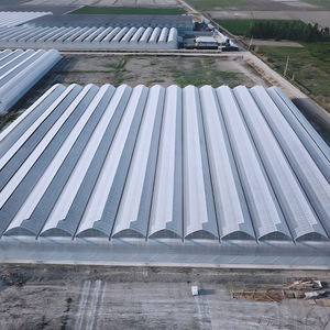 Serre agricole moderne avec fenêtres verticales pour la culture de tomates et de fraises - Product Image 1