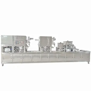 BG-2 Linear Type Wardro Desiccant Moisture Absorber Calcium Chloride Container Dehumidifier Box Filling Sealing Machine